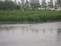 DSCN3955