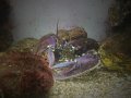 DSC00714
