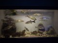 DSC00717