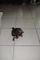 DSC02881