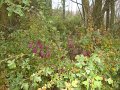 DSC00658