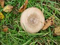 DSC00661