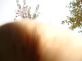 DSC00662