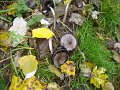 DSC00664