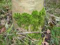 DSC00675