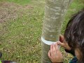DSC00685