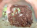 DSC00688