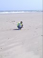 07062013783