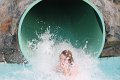IMG_4468